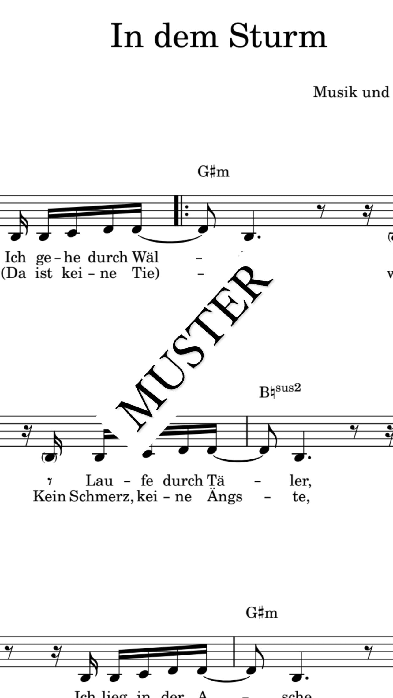 In dem Sturm - PLAYBACK