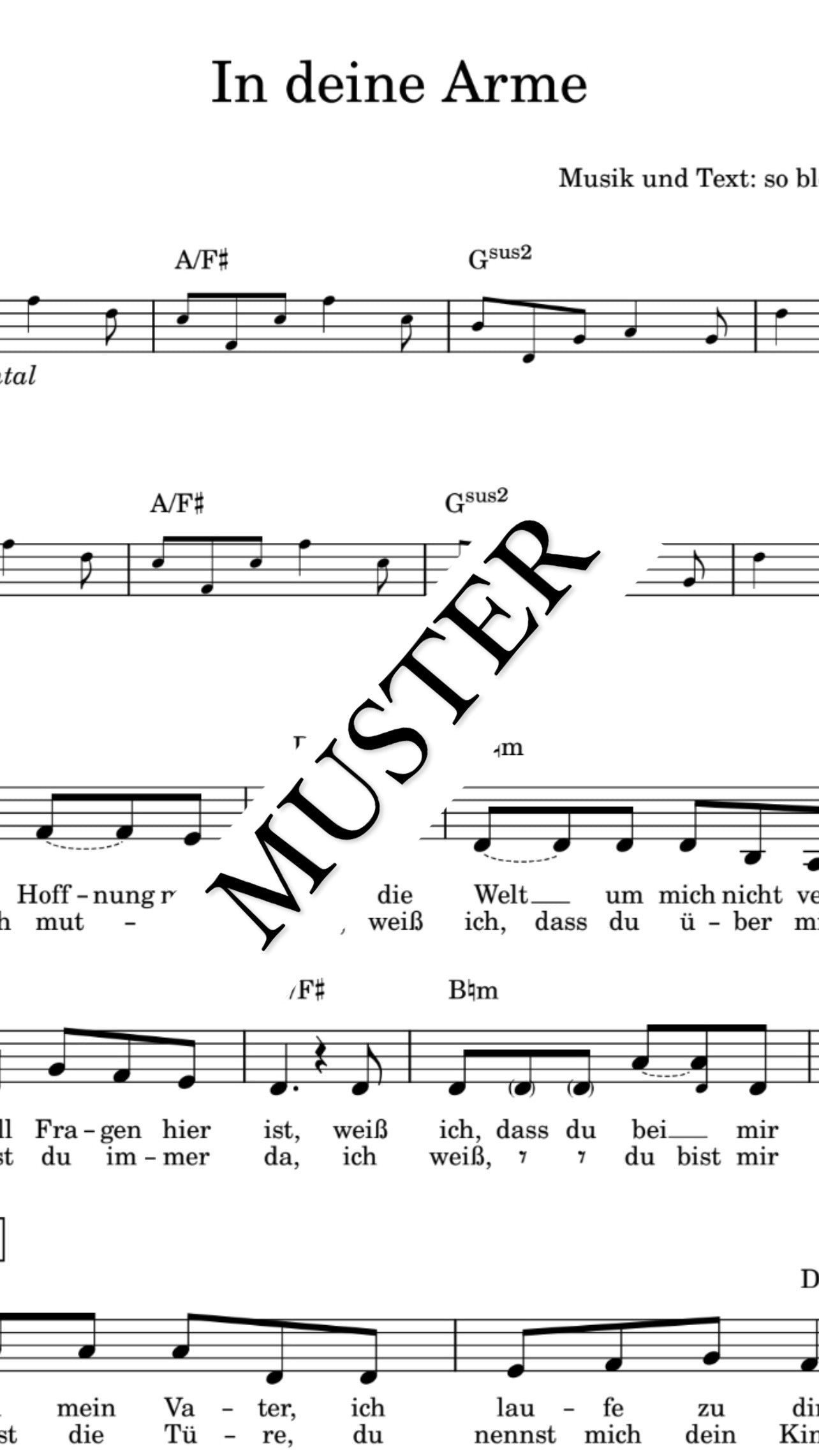 IN DEINE ARME - NOTEN